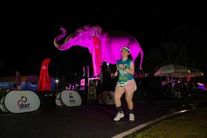 BIB: 
                            <button type="button" onclick="openModal(26543637)" class="btn btn-primary btn-sm float-right btn-popup" data-toggle="modal" data-target=".modal-high-quality">
                        <i class="fas fa-shopping-cart"></i> Add to Cart
                    </button>
                                            <button type="button" onclick="isThisMe(26543637, true)" class="btn btn-success btn-sm float-right btn-popup btn-isme hidden" data-toggle="tooltip" data-placement="bottom" title="นี่คือรูปของคุณใช่ไหม คลิกที่นี่เพื่อเอาเข้าอัลบั้ม">
                        <i class="fas fa-plus"></i> Add to album
                    </button>
                    <button type="button" onclick="isThisMe(26543637, false)" class="btn btn-warning btn-sm float-right btn-popup btn-isnotme hidden">
                        <i class="fas fa-ban"></i> Remove from album
                    </button>